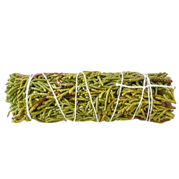 Atado de Juniper 10-12cm